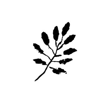 Leaf icon. Grunge vector dry brush illustration