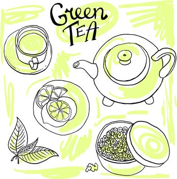 green tea hand- drawn beautiful set of illustration