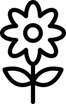 flower vector thin line icon