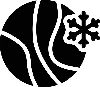 snowflake vector glyph flat icon