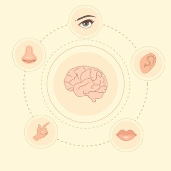 vector five senses icons, human nose, ear, eye and mouth illustration