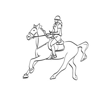 line art female dressage rider on bay horse illustration vector isolated on white background