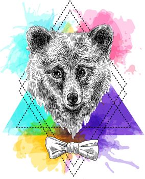 Beautiful hand drawn vector illustration sketching of bear. Tattoo style drawing. Use for postcards, print for t-shirts, posters.