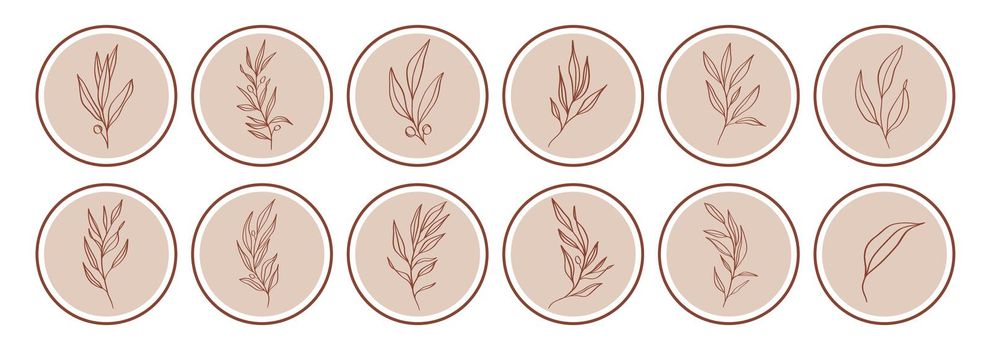 Vector highlight story cover icons for instagram, social media. Abstract minimal circle backgrounds with nature leaves