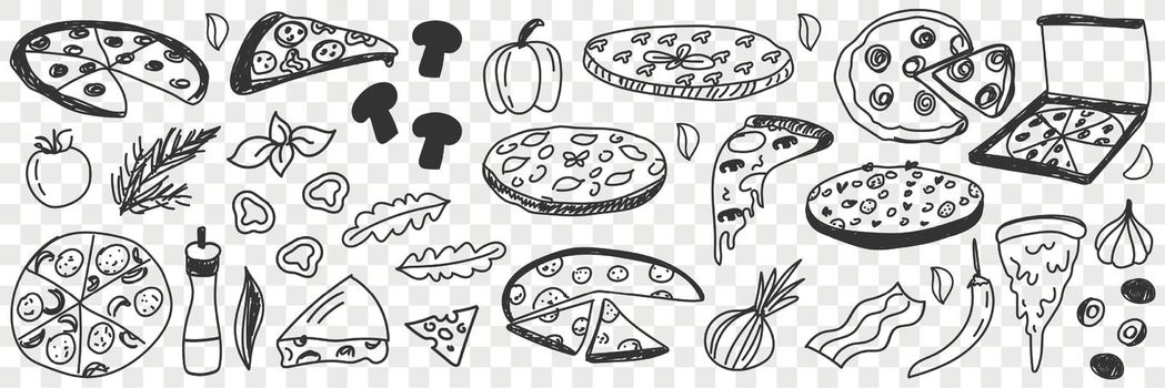 Ingredients for pizza doodle set. Collection of hand drawn tasty cheese vegetables onion pepper salami and pieces of fresh cooked pizza fast food isolated on transparent background