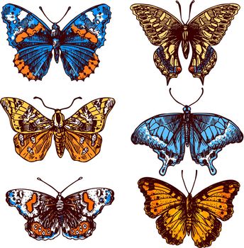 Beautiful hand drawn vector illustration sketching of butterflies. Boho style drawing. Use for postcards, print for t-shirts, posters, wedding invitation, tissue, linens
