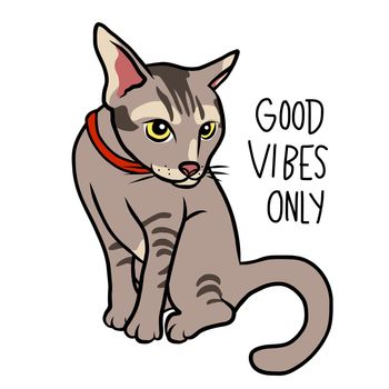 Tabby cat good vibes only cartoon vector illustration