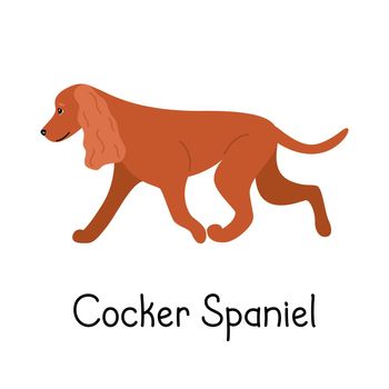 Seamless pattern with canine American or English Cocker Spaniel dog breed. Cloth design with cartoon dog. Vector illustration of a pet flat