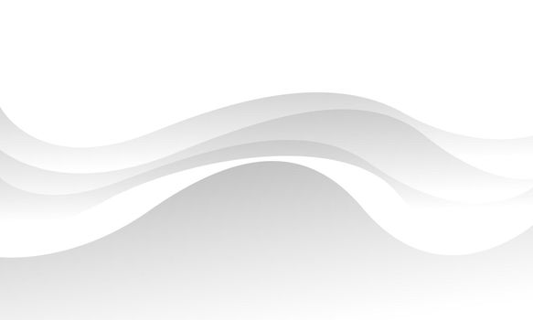 Abstract white grey wave curve background vector illustration.	