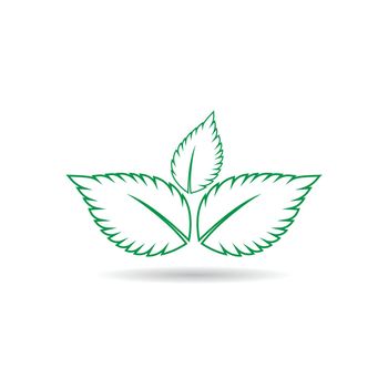 mint leaf logo template design