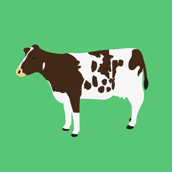Simple vector illustration of brown and white cow isolated on green background. Cartoon style cow icon.