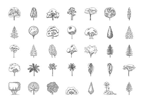 Big icon set of different tree silhouettes. Vector illustration. EPS 10.