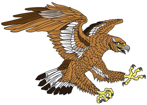 stylized brown or golden eagle. Landing attacking prey bird. Graphic style vector illustration. Tatoo