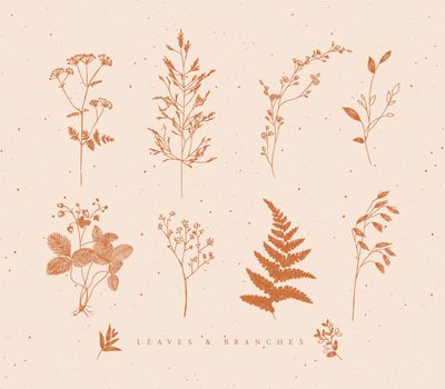Set of leaves and branches floral style drawing in mustard color on beige background