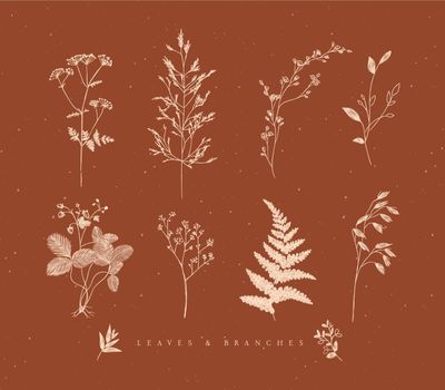 Set of leaves and branches floral style drawing in beige color on brown background