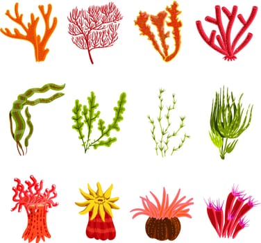 Underwater ocean and aquarium coral decorative icons set isolated vector illustration