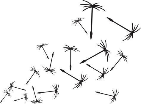 Dandelion seeds in the wind vector illustration