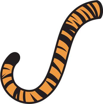 Tiger tail color vector illustration