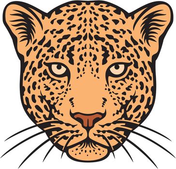 Leopard head icon vector illustration