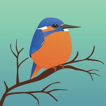A very cute kingfisher bird in the shape of an egg. Blue green gradient background. The bird sits on a branch.