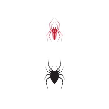 Spider Logo Template vector symbol nature