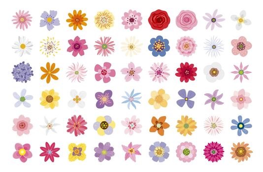 Flowers on white background vector illustration