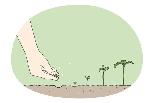 Person hand plant seed in ground watch tree development stages. Gardener put seedling in soil. Timeline and growth metaphor. Gardening and agriculture concept. Vector illustration.