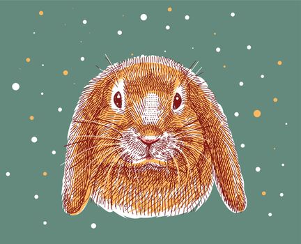 Color illustration, sketch drawn with markers. Home red rabbit, portrait of the head. Vector. All elements of the illustration are isolated, it is easy to change colors and backgrounds.
