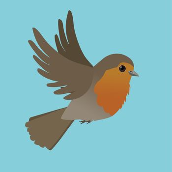 A vector illustration of a flying robin on a light blue background, his wings are up in the air.
