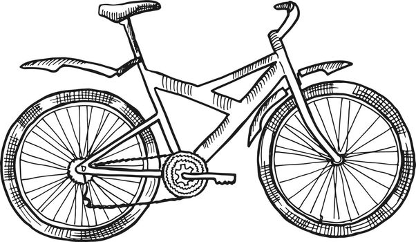 Bicycle sketch. Hand drawn vehicle. Eco transport isolated on white background