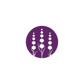 Lavender Logo Template vector symbol nature