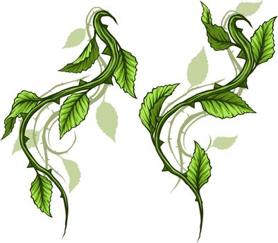 Graphic cartoon detailed green rose branch, stem with leaves, thorns and shadows. Isolated on white background. Vector icon set. Vol. 4
