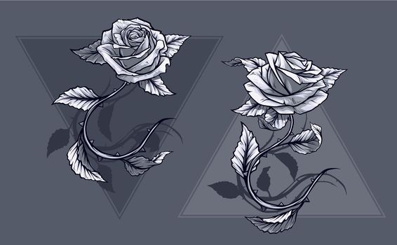 Graphic detailed graphic black and white roses flower with stem and leaves. On gray background. Vector icon set. Vol. 3