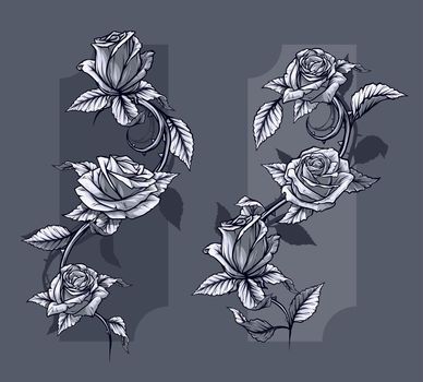 Graphic detailed graphic black and white roses flower with stem and leaves. On gray background. Vector icon set. Vol. 5