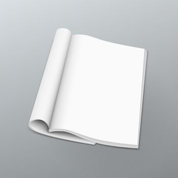 Clean Blank Catalog Or Magazines, Book Mock Up. EPS10 Vector