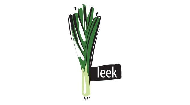 Drawn leek isolated on a white background.