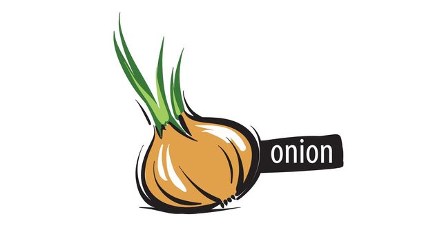 Drawn onion isolated on a white background.