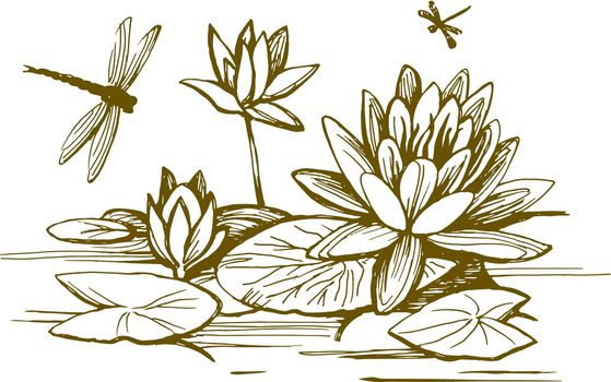 Flowers of water lilies and leaves on the water surface. Dragonflies fly over plants. Vector sketch.