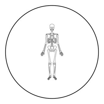 Skeleton human icon in circle round black color vector illustration image outline contour line thin style simple