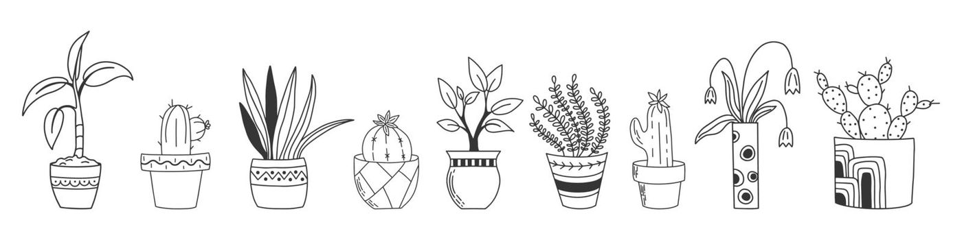 Hand drawn set houseplants isolated on a white background. Doodle style collection potted plants. Vector clipart for plants shop, social media post, for scrapbooking and more.