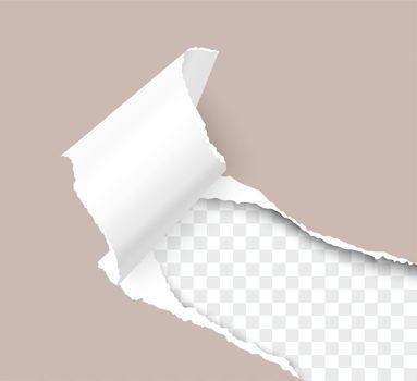 Torn hole of lower right corner of brown sheet with paper curl and transparent background of the resulting window. Realistic vector template paper design.