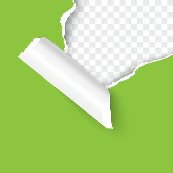 Torn hole of upper right corner of green sheet with paper curl and transparent background of the resulting window. Realistic vector template paper design.
