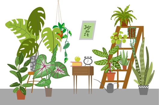 Interior with plants. Houseplants vector illustrations. Urban jungles. Plants are friends. Culd be used for web, notebook, phone case, etc