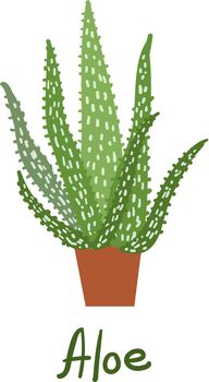 Aloe. Houseplants vector illustrations. Urban jungles. Plants are friends. Culd be used for web, notebook, phone case, etc