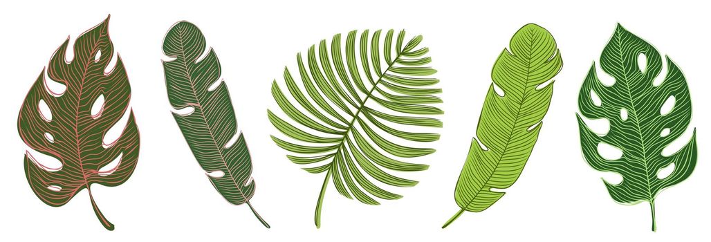 Tropical Leaves Hand Drawn Collection. Hawaiian Paradise Design Elements Set. . Vector illustration