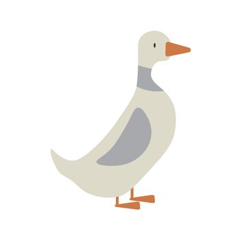 farm gray goose. Isolated vector illustration Icon for web.