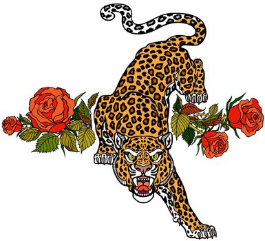 The roaring leopard climbs down and looks straight ahead. Aggressive spotted panther and blooming red roses. Front view. Tattoo style vector illustration