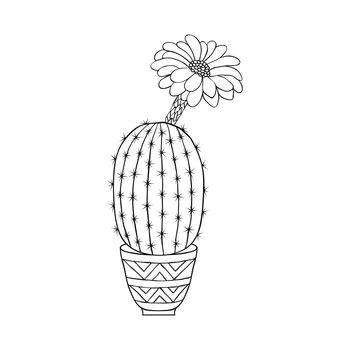 Cactus in doodle style on white background. Coloring page for children and adults.