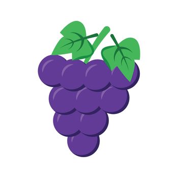 Cluster of grapes semi flat color vector object. Full sized item on white. Growing fruits in garden. Seedless grapes. Simple cartoon style illustration for web graphic design and animation