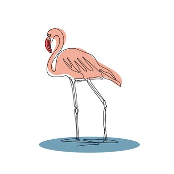 Flamingo line art isolated vector. Beautiful pink bird stands in water. Flamingo continuous contour and colored spots accents. Exotic tropical animal